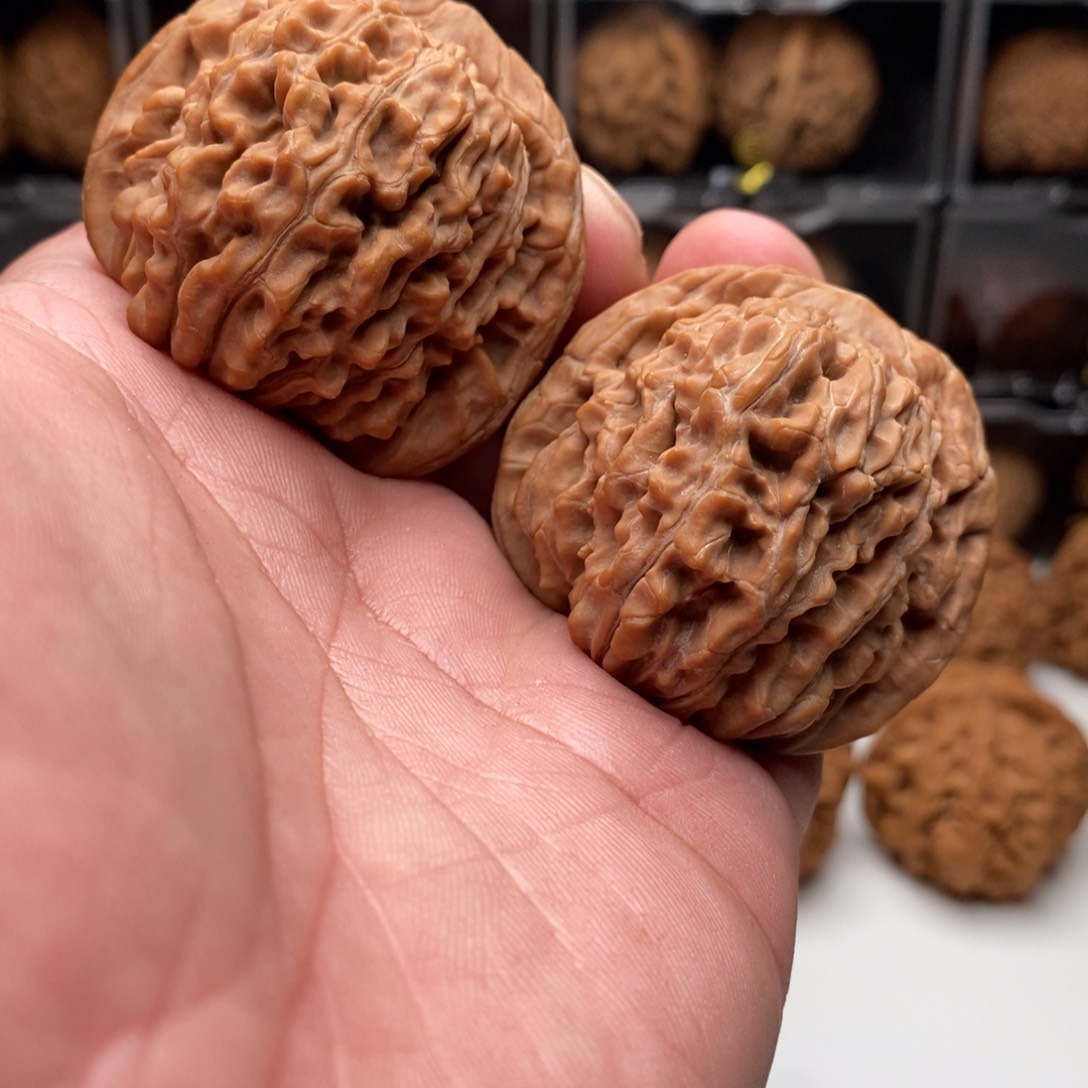 46四座楼狮子头，粉丝团福利