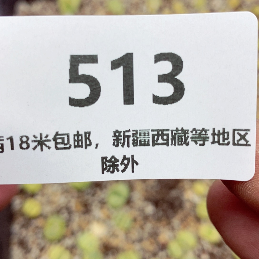 保温箱。            513