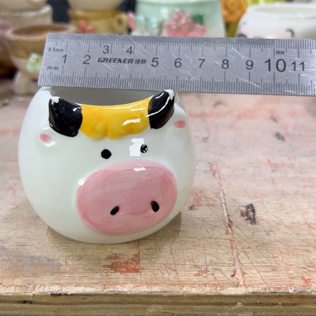 陶瓷花盆特价上新