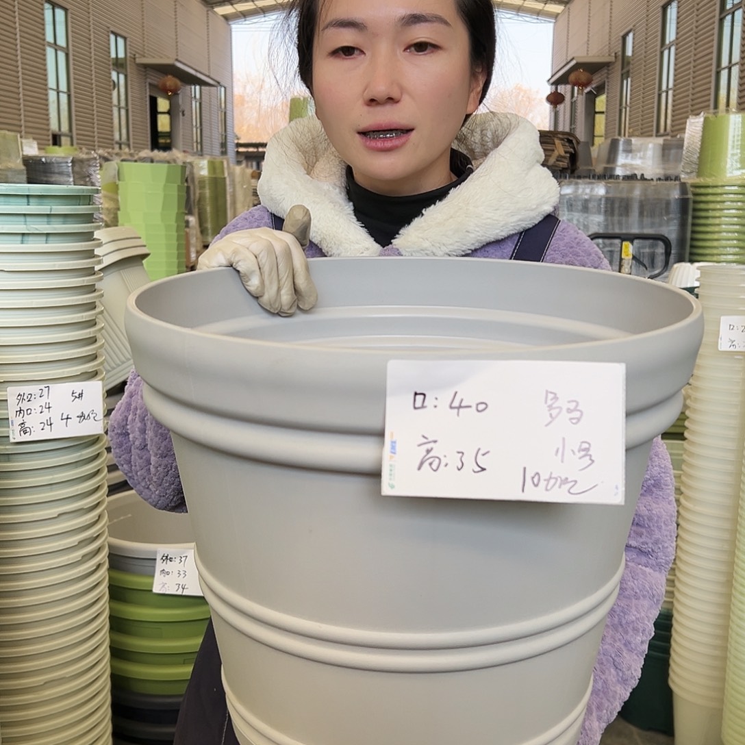 罗马盆小号灰白3个无托