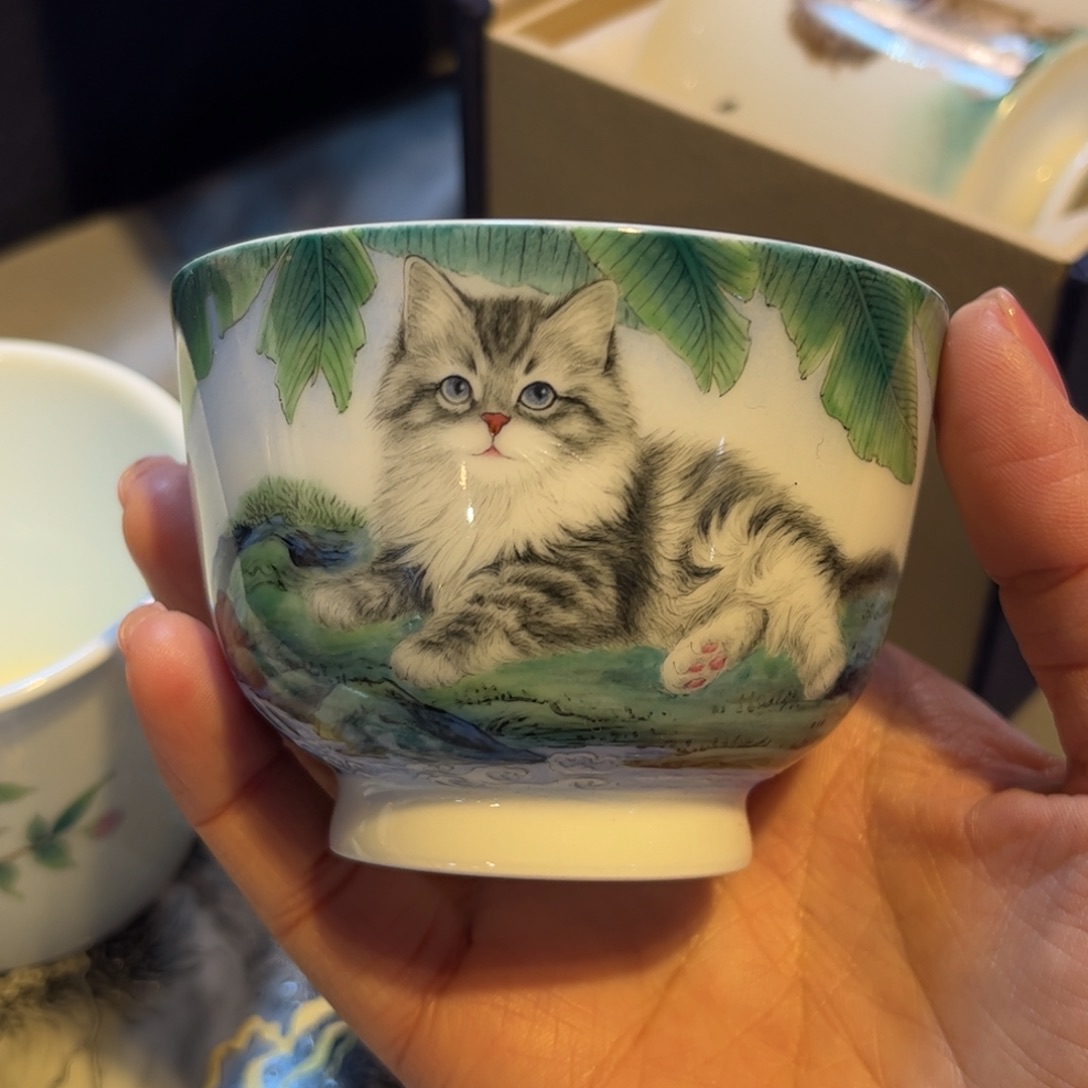 瓷片杯子杯子杯子杯子