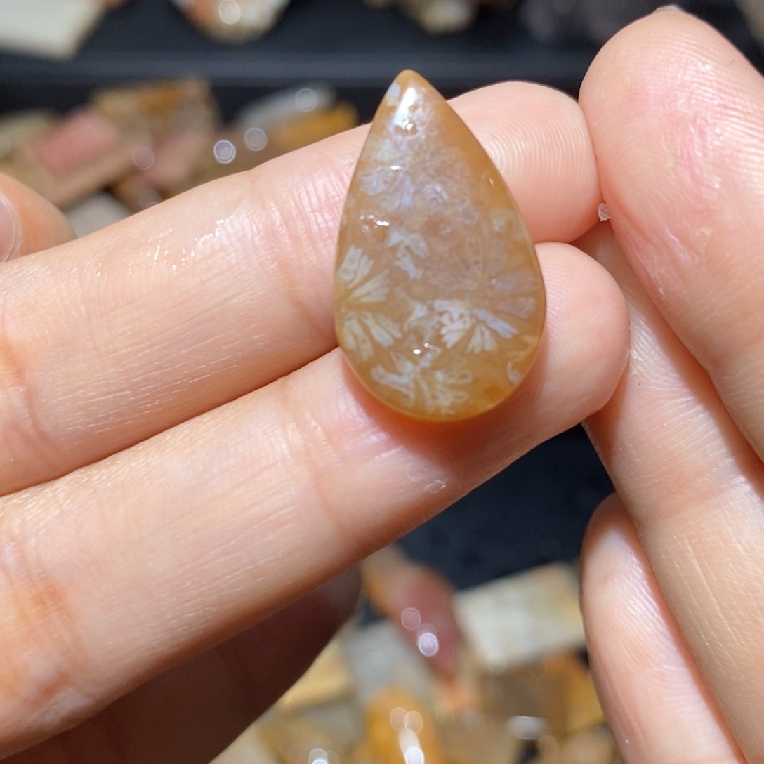 【闪购商品】硅化玉颈饰未镶嵌