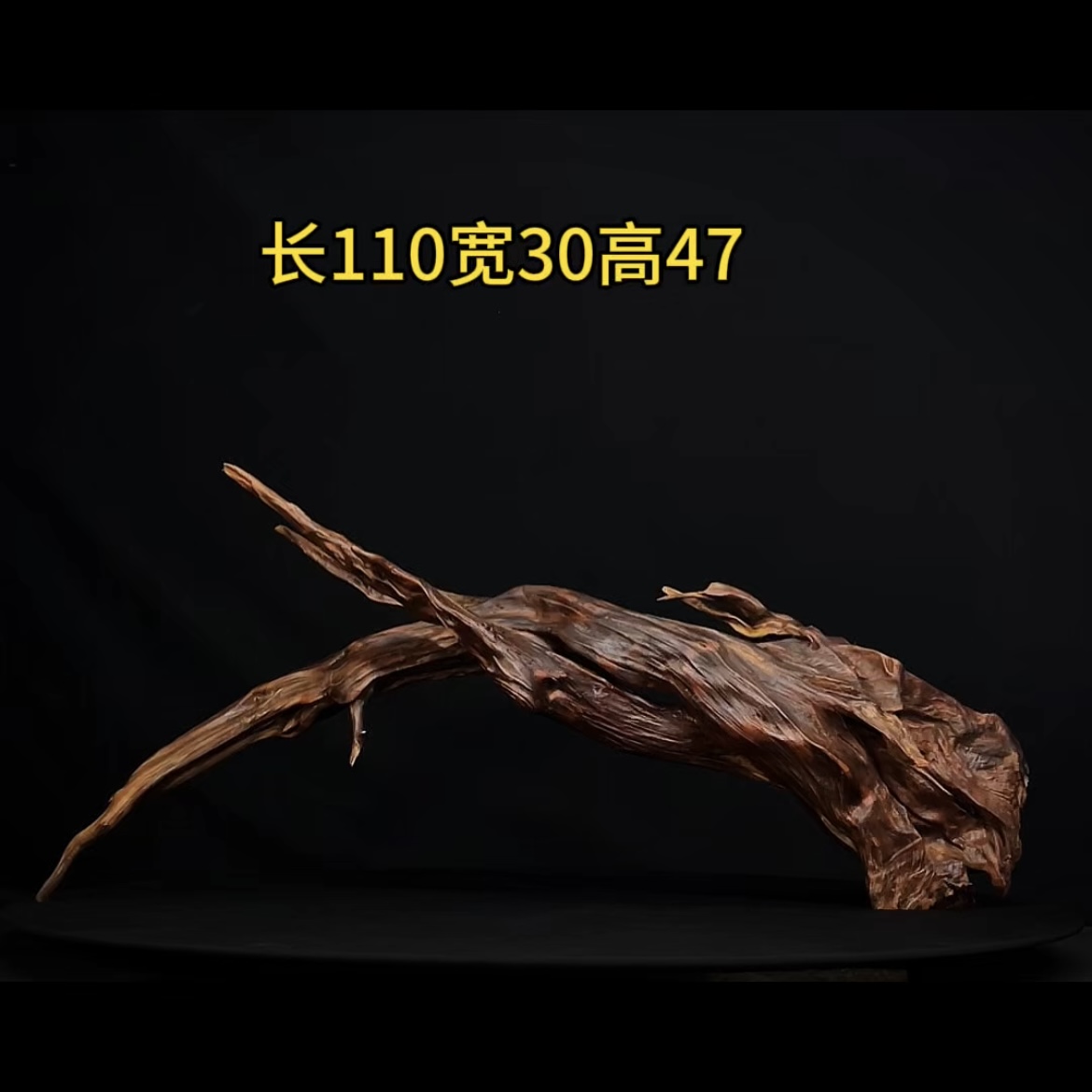 张大狼造景沉木长110cm一体多枝 南美鱼缸造景 紫柚木秒沉