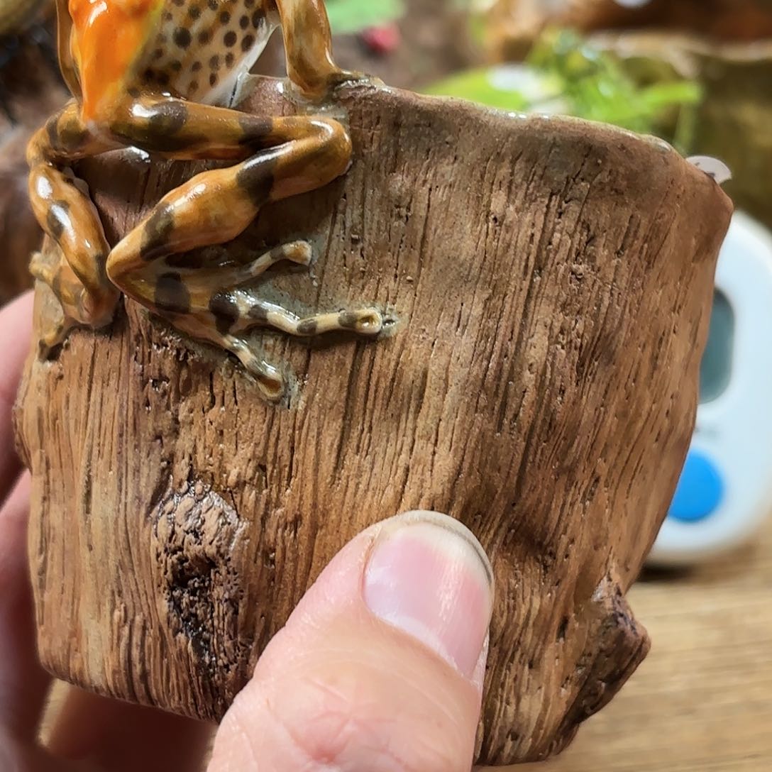 杯沐**风祝老师陶艺作品欣赏