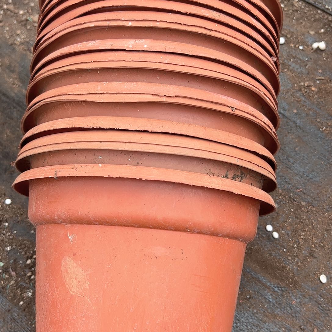 红圆盆24口径17高 8个