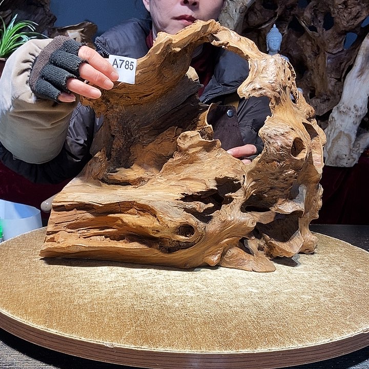 我*事785株木随行的小根艺