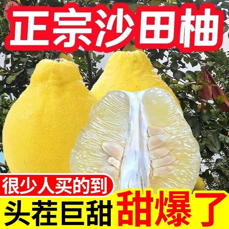 【原产地直发】纯甜柚子广东梅州沙田柚正宗桃尧金柚甜心柚非白柚