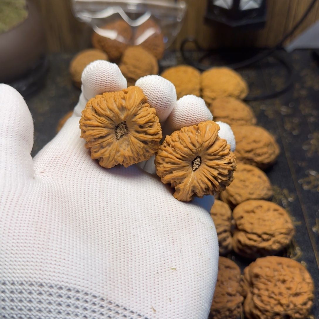 文玩核桃把件泗文玩核桃