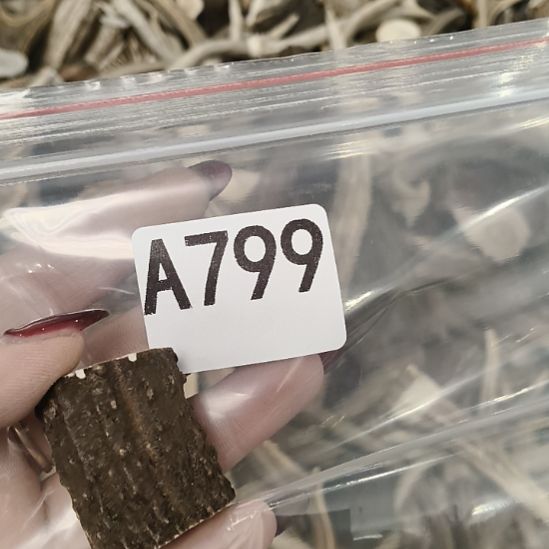 半***雨鹿角鹿角鹿角鹿角鹿角