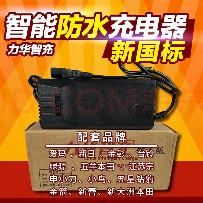 力华电动车充电器铅酸电池专用60v8A