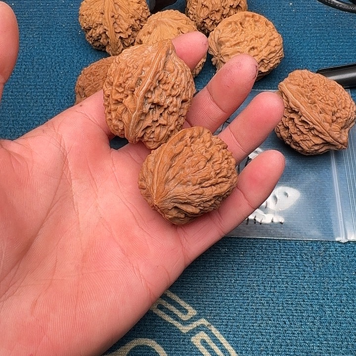 棕***胖吊坠文玩核桃哈哈哈哈哈哈哈哈哈