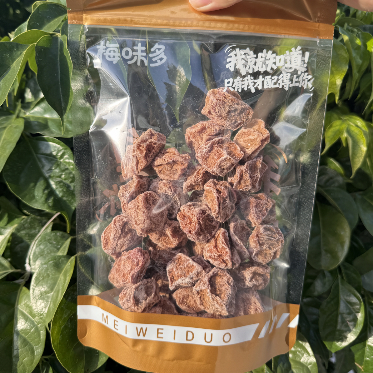 优选特大颗九制话梅王