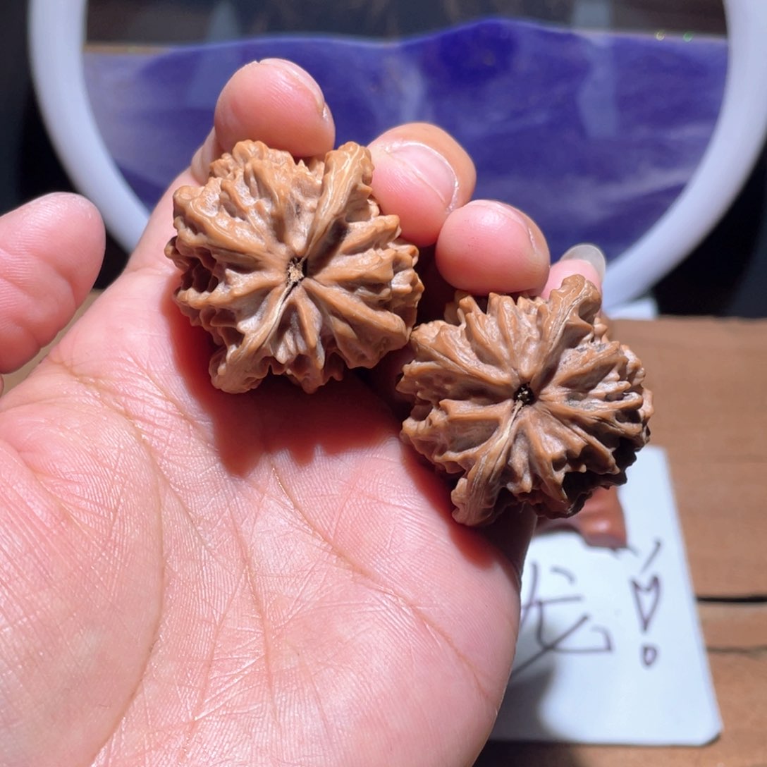 旧*S131。  37尺。  大龙