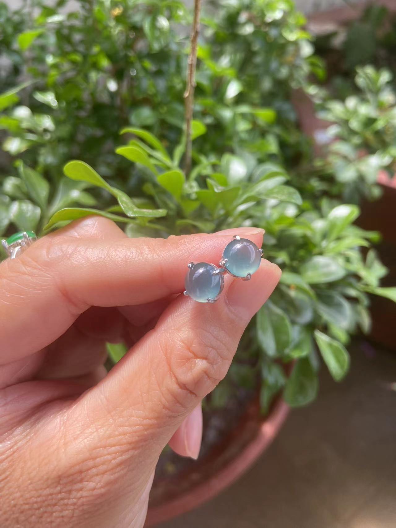 A货蓝冰翡翠耳钉简约设计气质百搭925银镶嵌精美耳饰