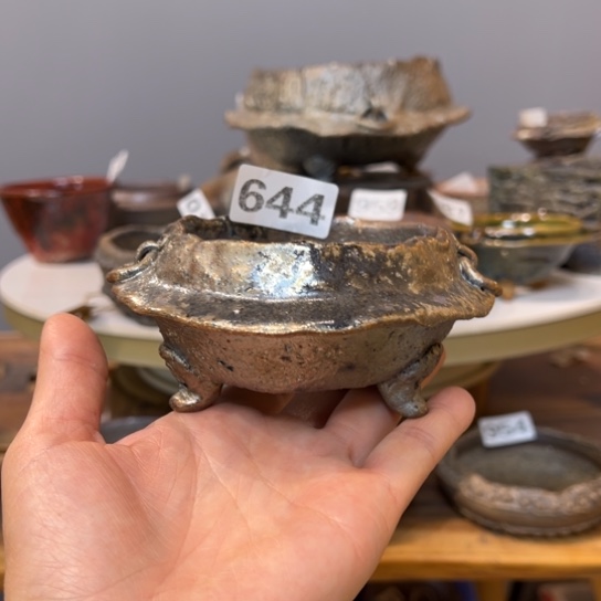 红陶644///////////