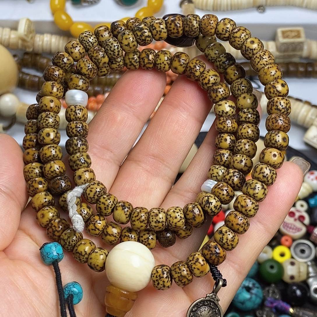 ………………………………………………………………………