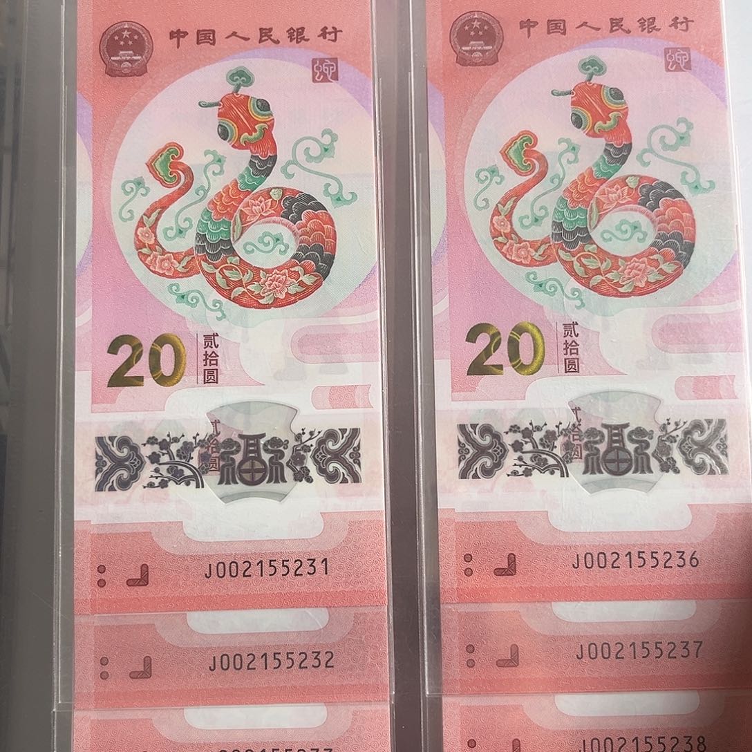 02155231-240标十塑料蛇钞无47