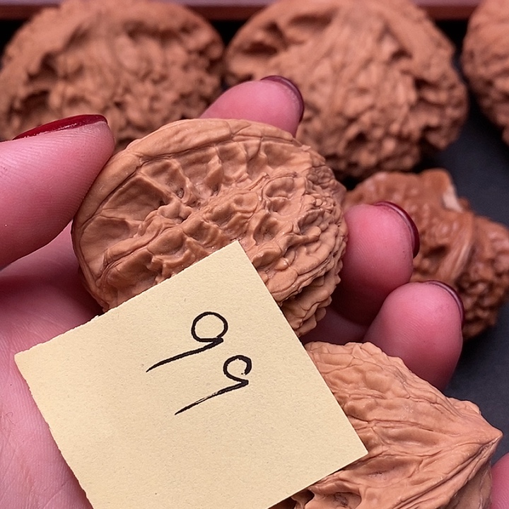 磕碰6.6米1111111111111