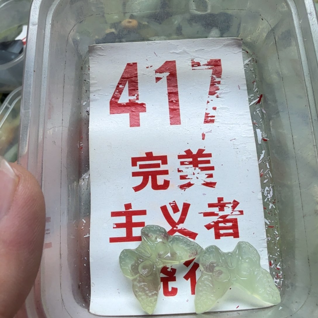 蛇纹石玉吊坠未镶嵌