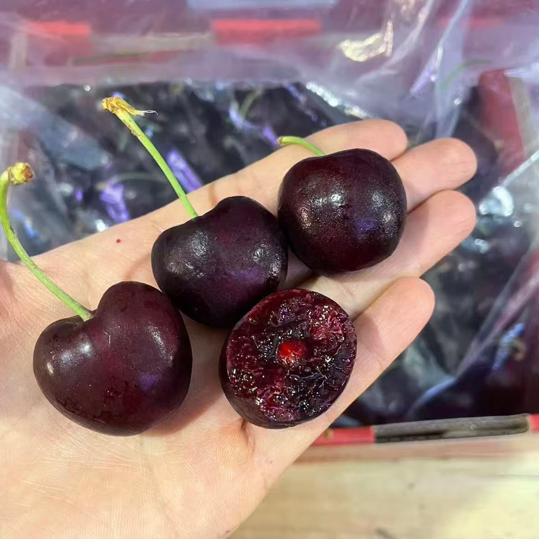 【南宁同城】智利海运进口车厘子（3JDD/4JD）原箱2-5斤桑提娜智利桑提娜智利