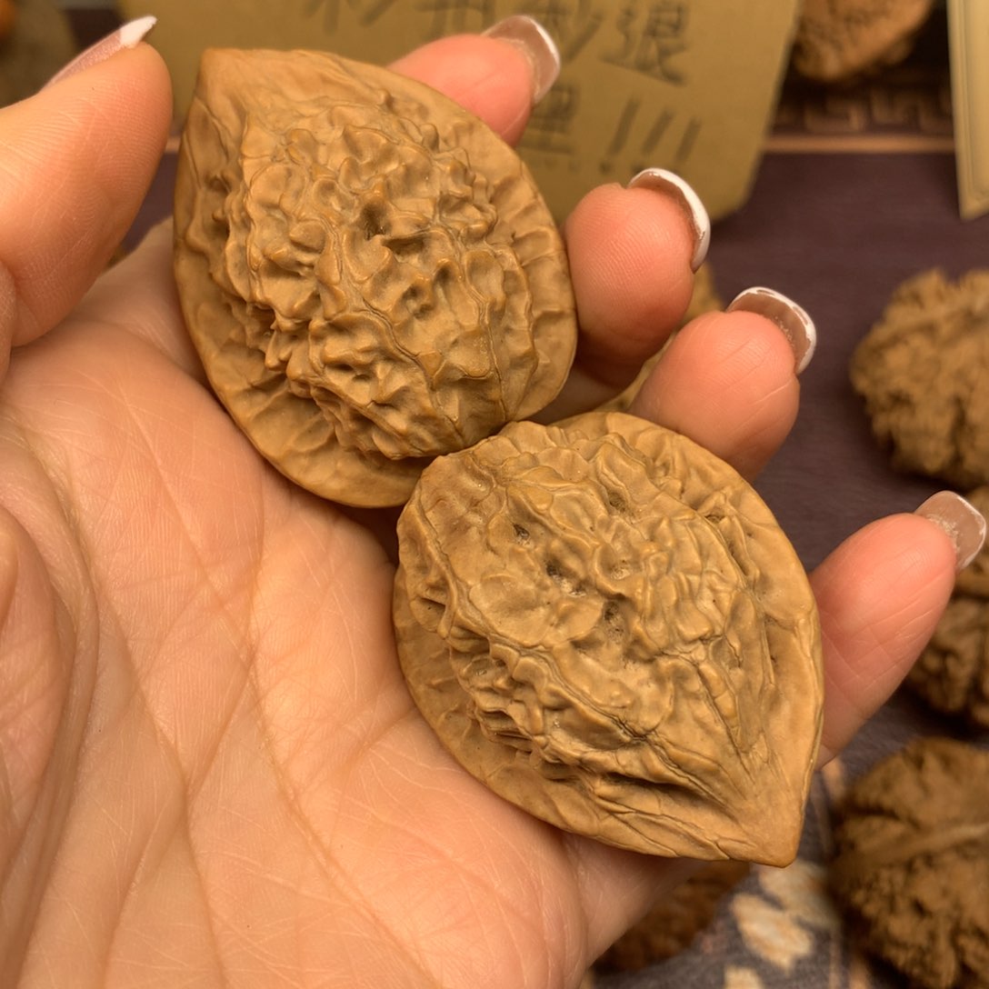 用****8秦岭山脉和秦岭山