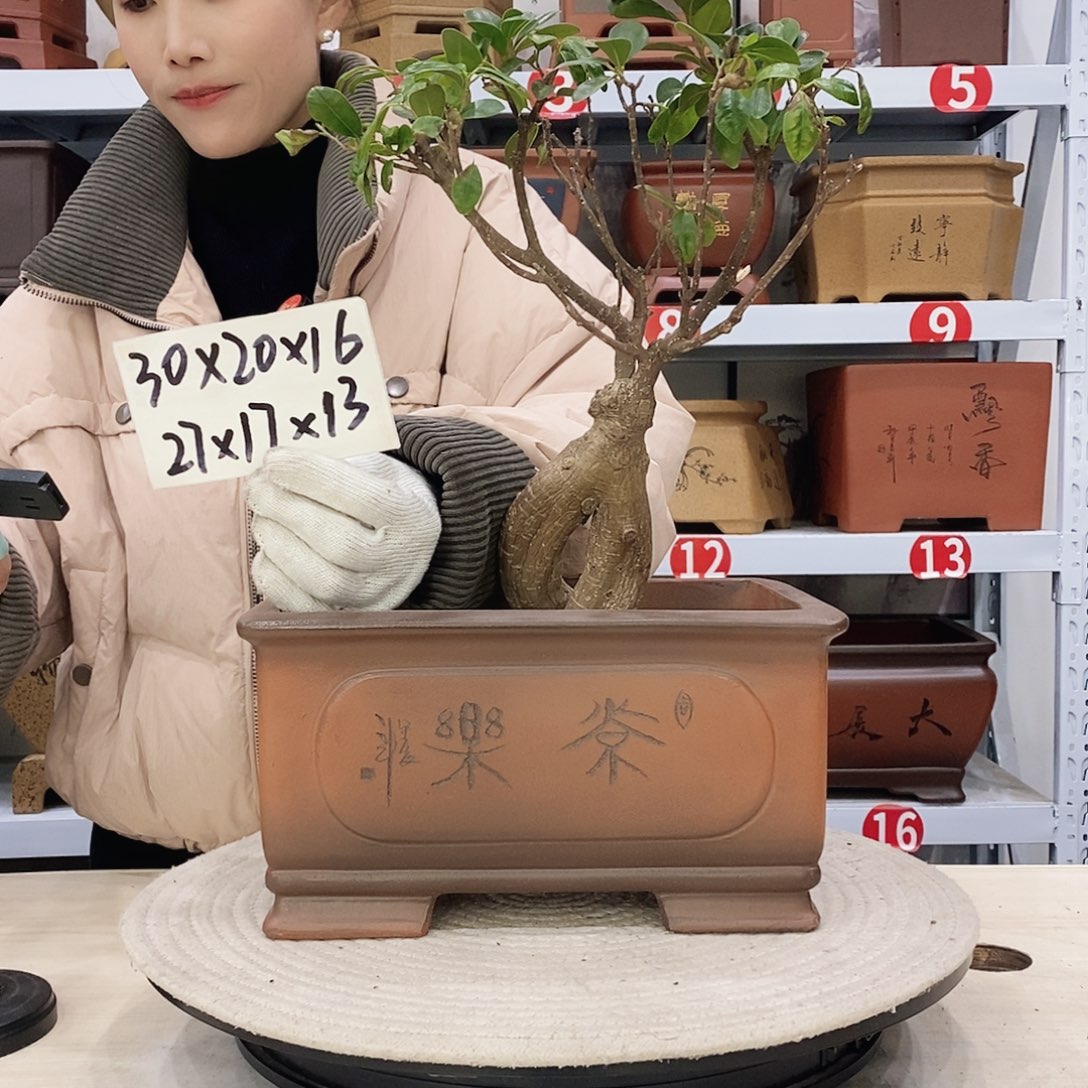 紫砂花盆紫砂花盆