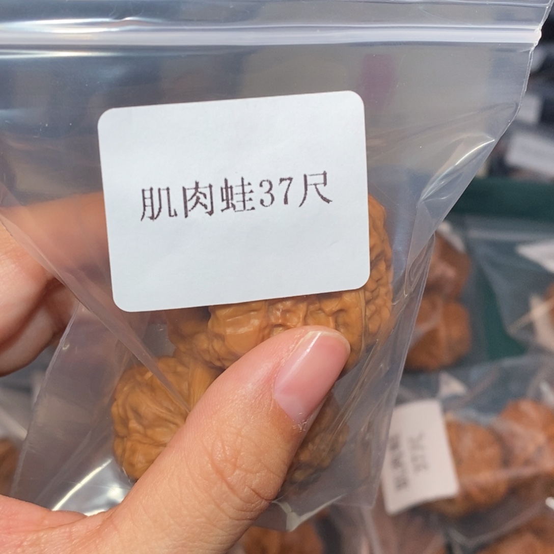 文玩核桃吊坠37肌肉蛙