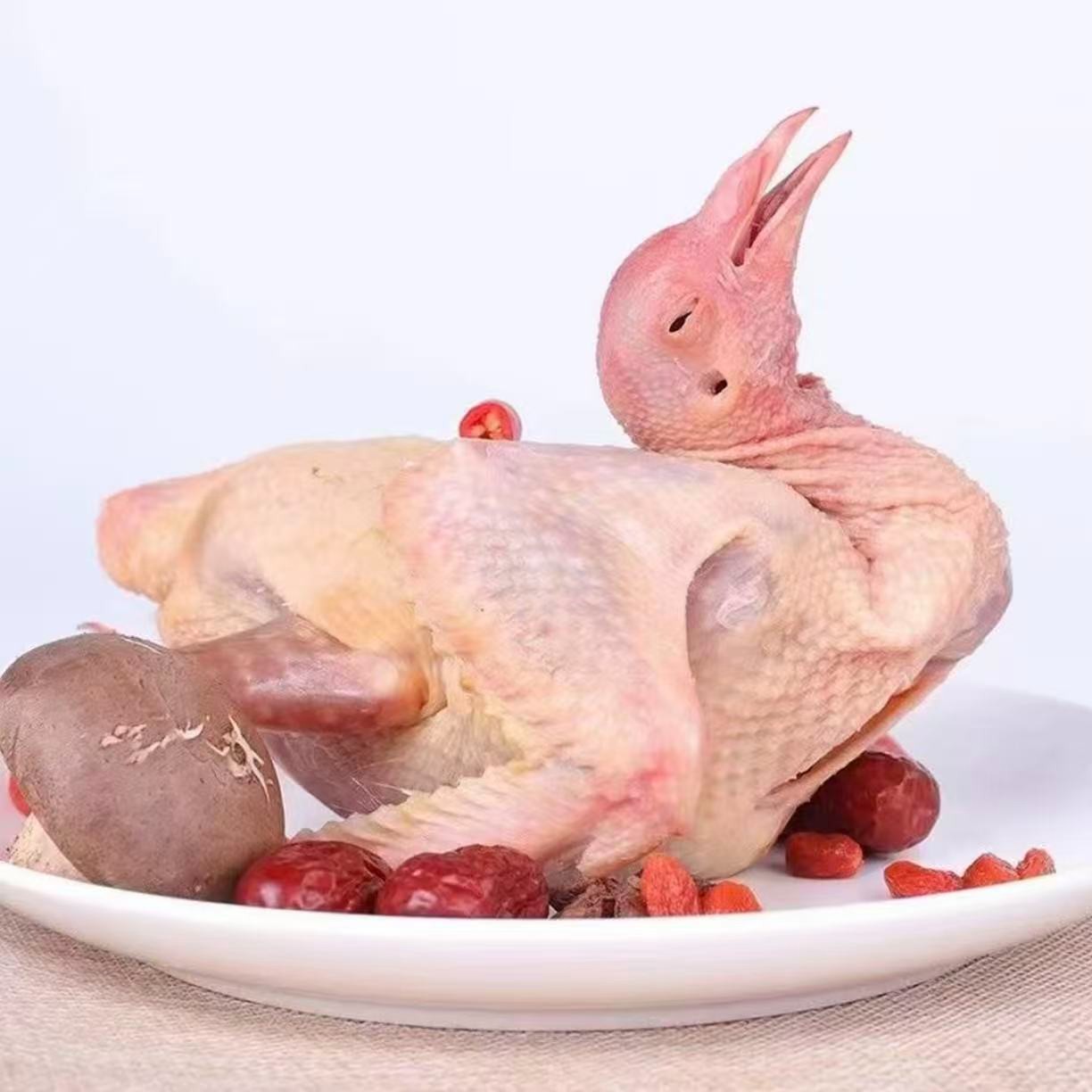 农家散养土鸽子新鲜现杀内脏含心肝急冻锁鲜到手共五只净重1500g