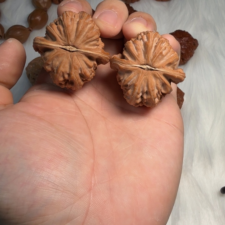 橘***纸文玩核桃吊坠白狮子