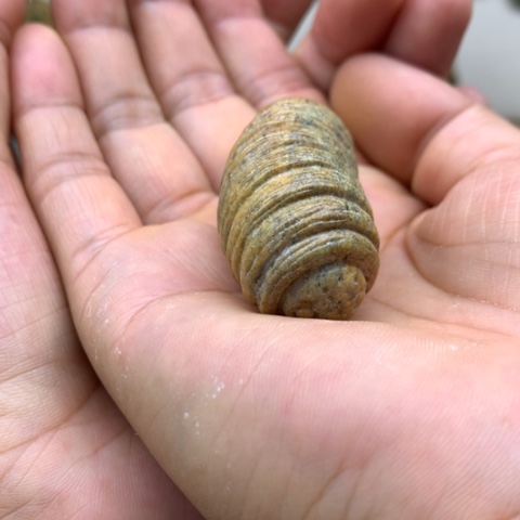 【闪购商品】岫岩河磨玉（透闪石质玉）未镶嵌把件