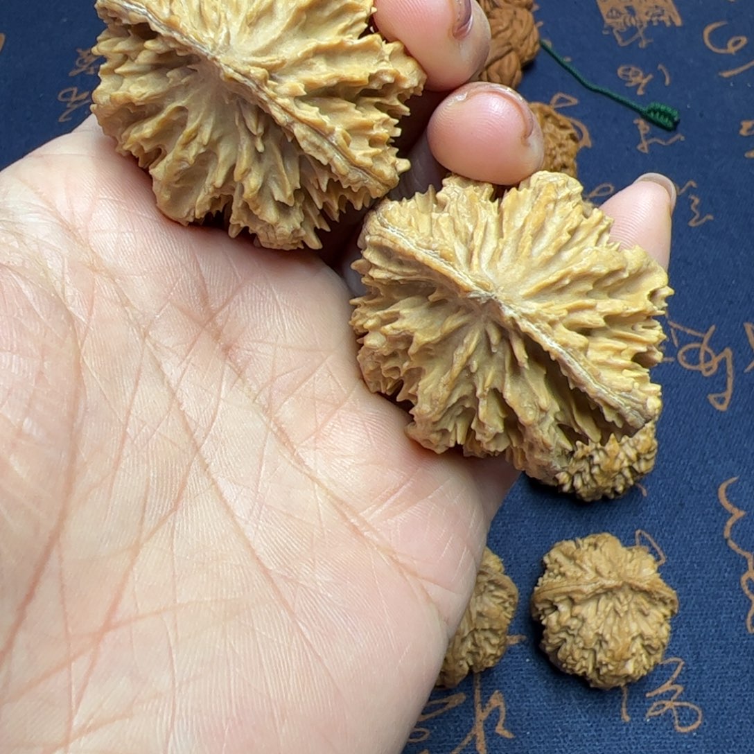 文玩核桃把件秦岭野生植物核桃