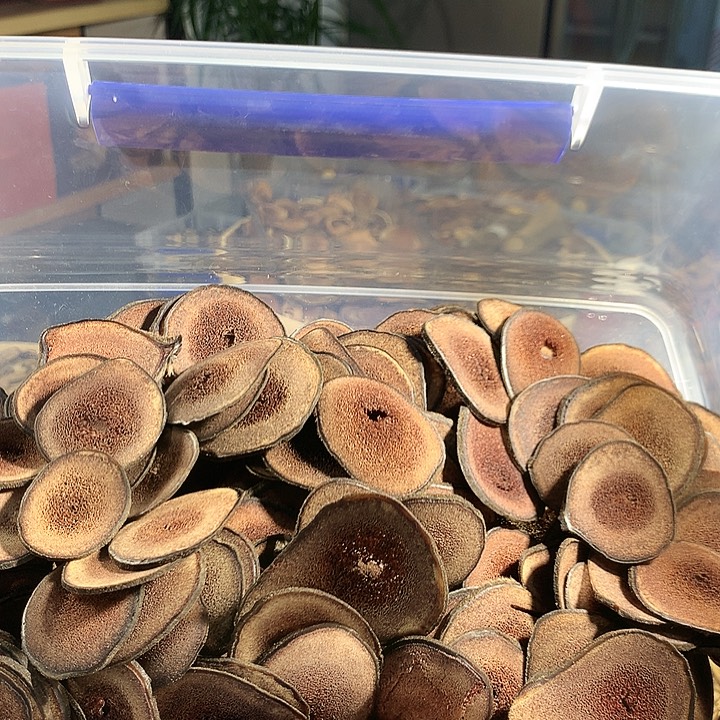 150克鹿茸片煲汤用