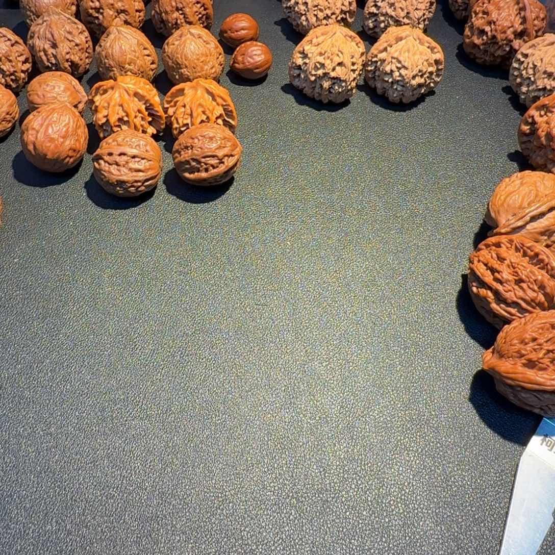 文玩核桃吊坠文玩核桃88888