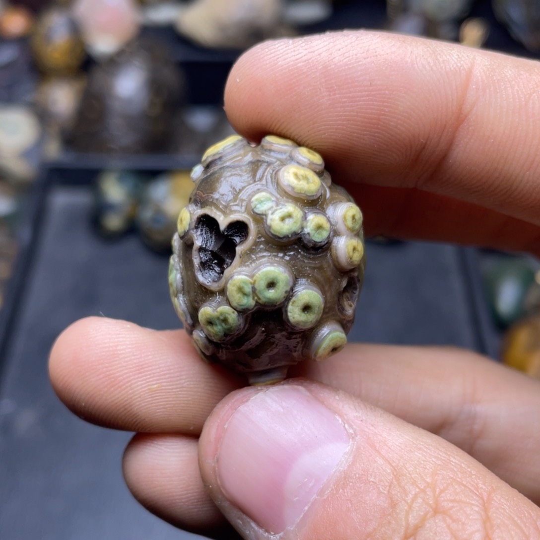 会**猪石头石头石头石头