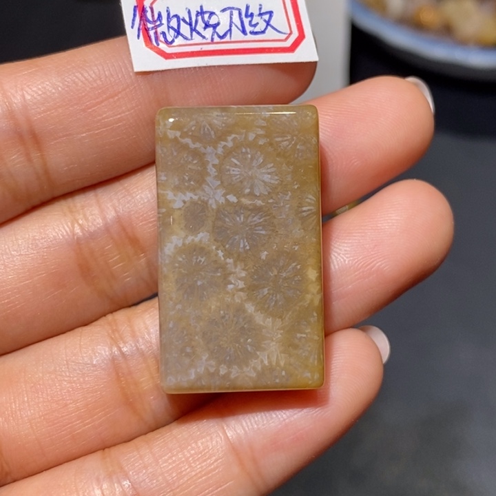 【闪购商品】未镶嵌珊瑚玉硅化玉