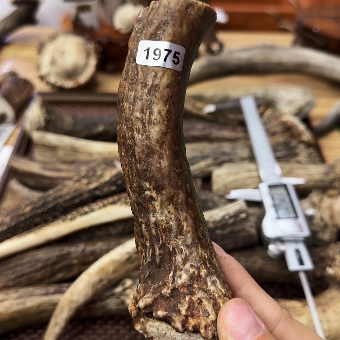 手串/手链鹿骨1975刀柄