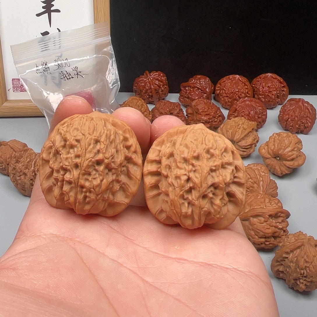 核桃原树马老四37