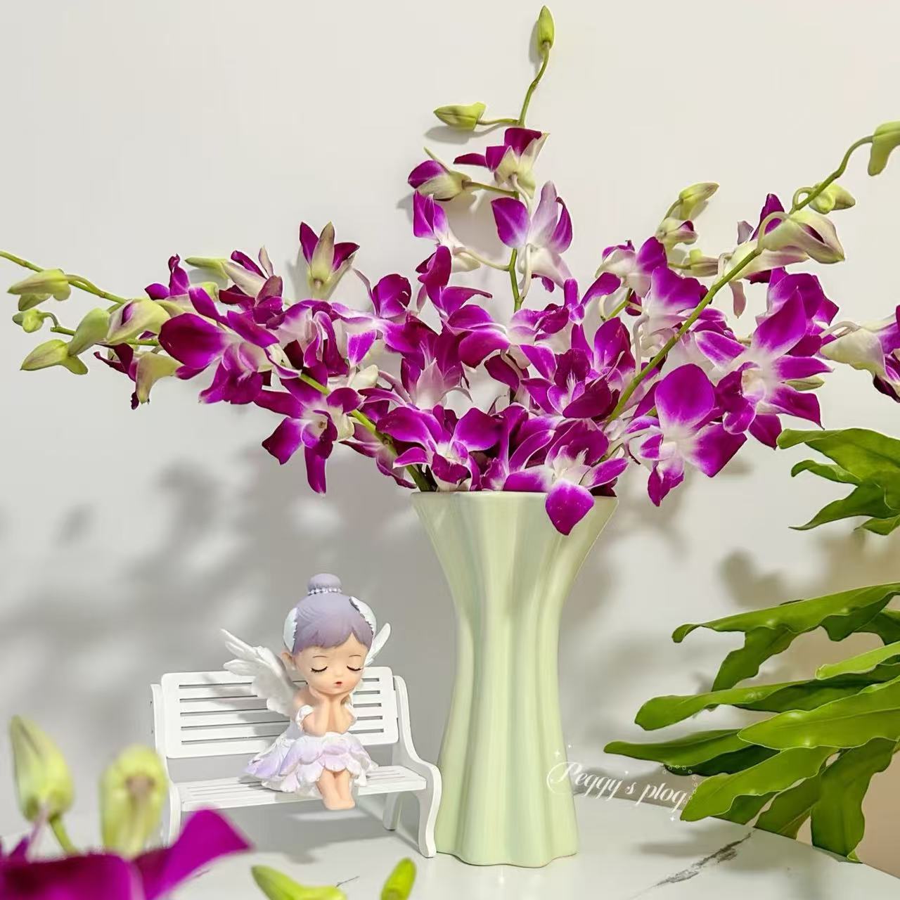 【泰国洋兰】A级严选紫色10支+送2支 全店两单顺丰冷链包邮