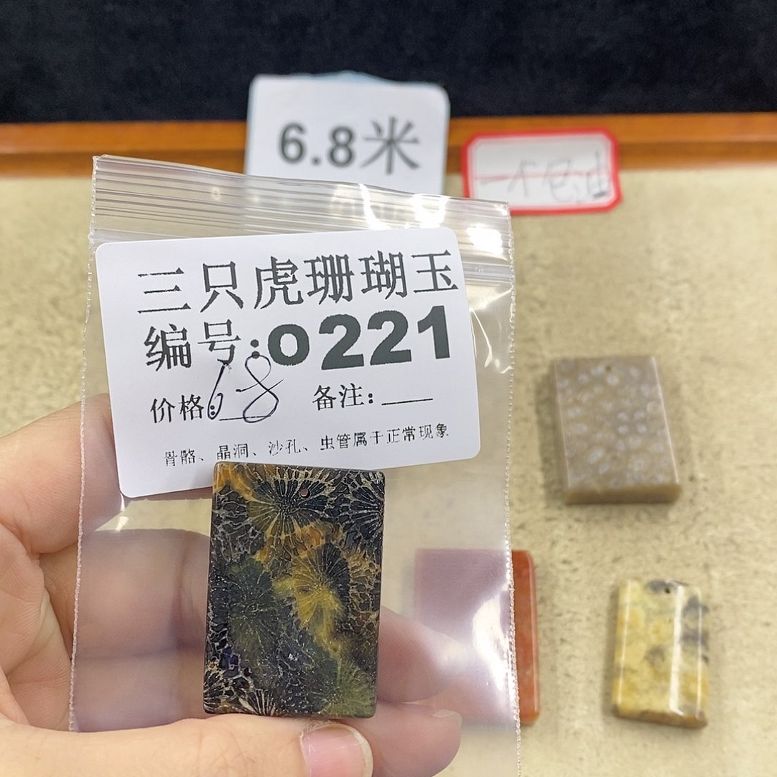 硅化珊瑚（珊瑚玉）1未镶嵌曾**时