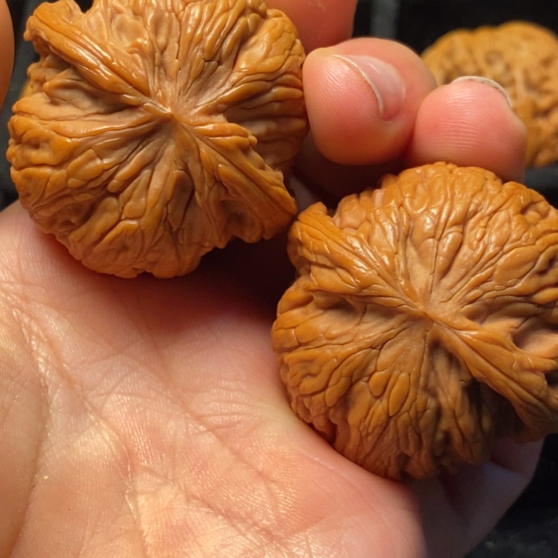 文玩核桃吊坠秦岭山脉核桃