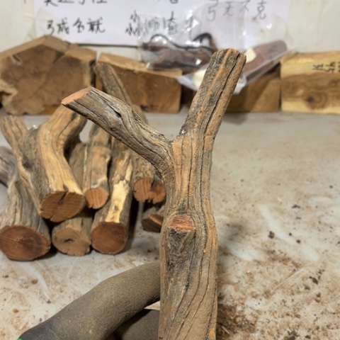 大果紫檀（缅甸花梨）邓