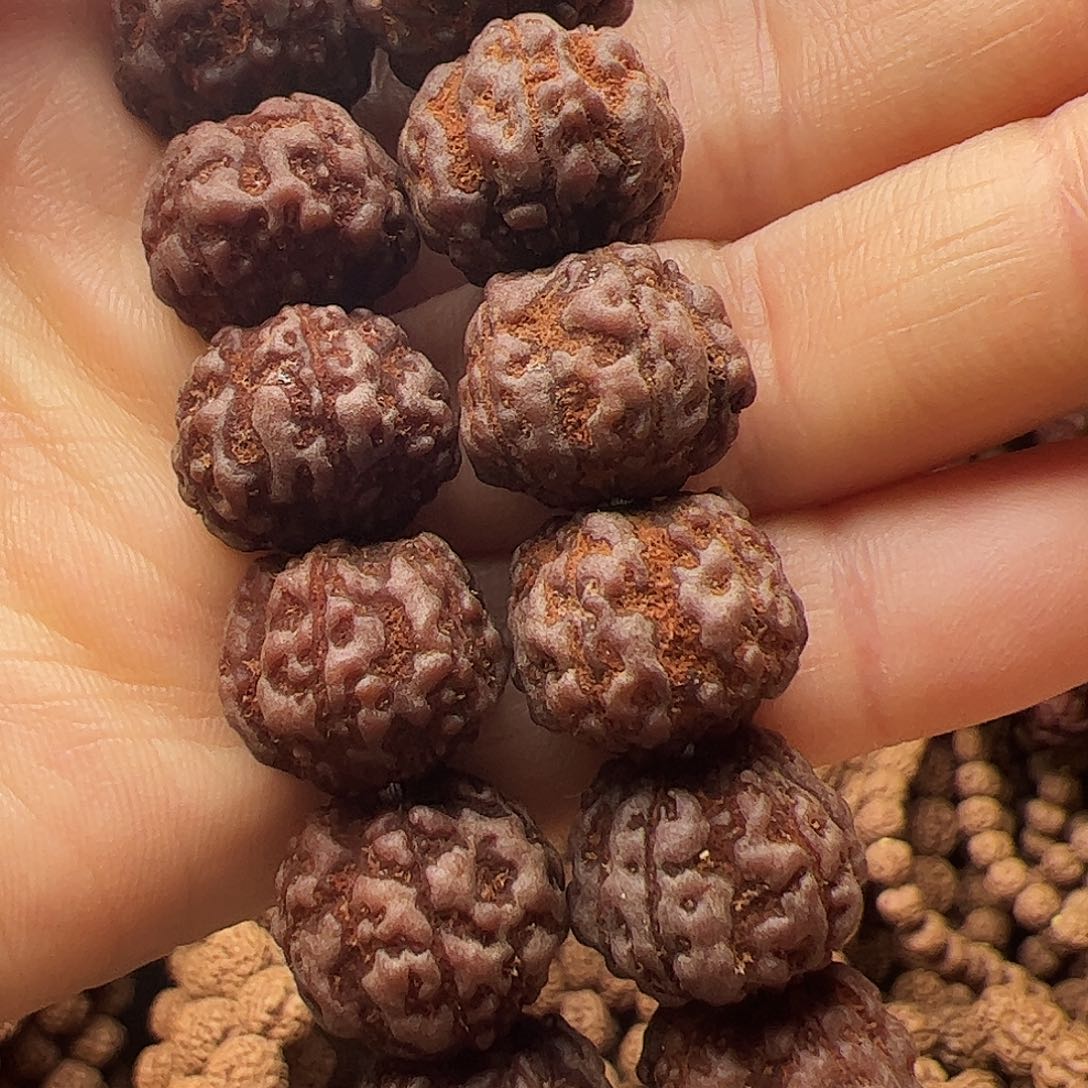 简***单金刚菩提吊坠花魁非精品，保手持