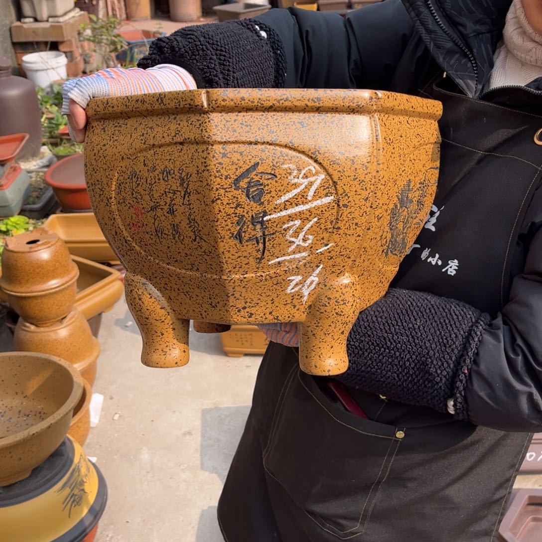 紫砂花盆盆景艺术