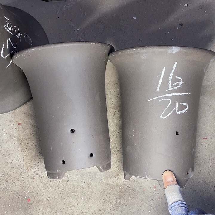 红陶紫砂紫砂紫砂紫砂