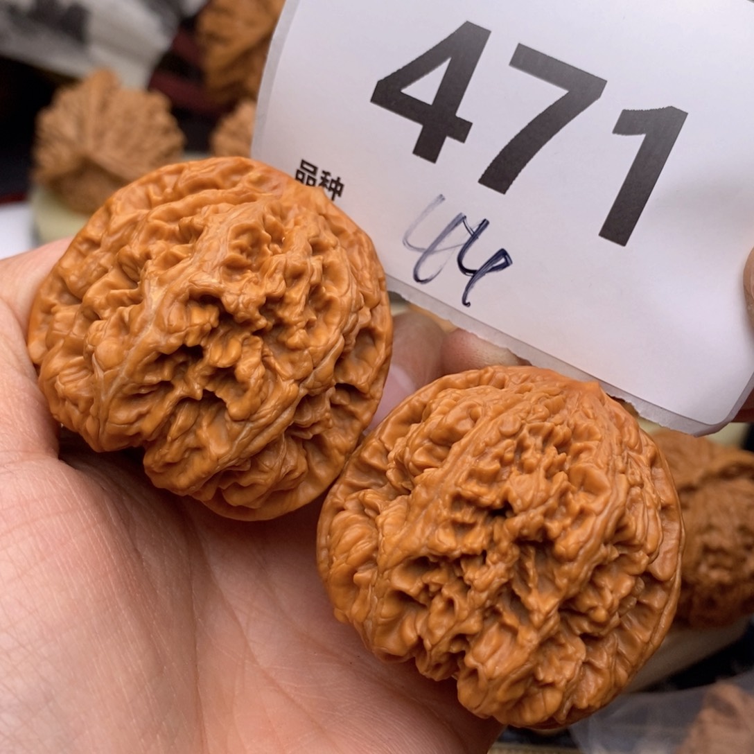 文玩核桃把件471号44粗筋