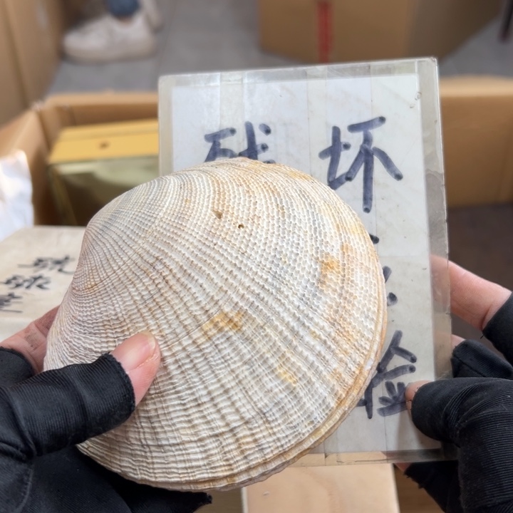 浙***司谢谢谢谢谢谢谢谢谢谢