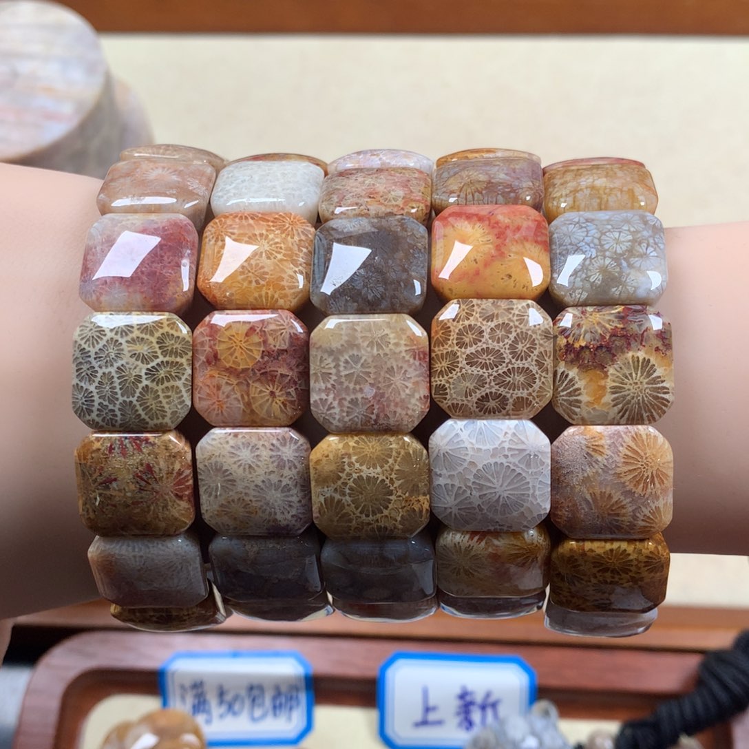 未镶嵌上新手排300/个，可挑。07硅化珊瑚（珊瑚玉）