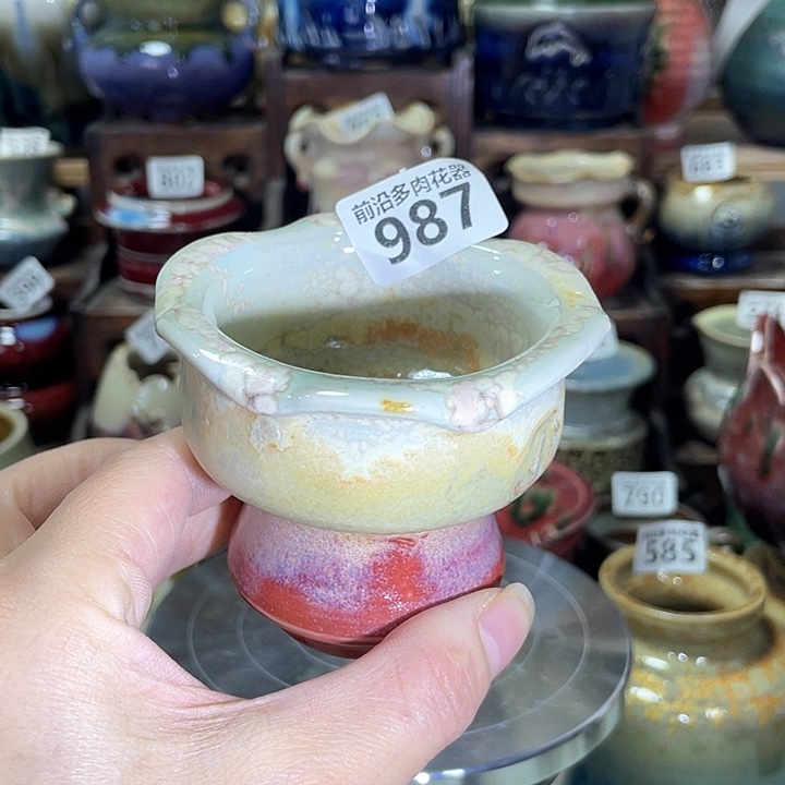 红陶内口径6高度6