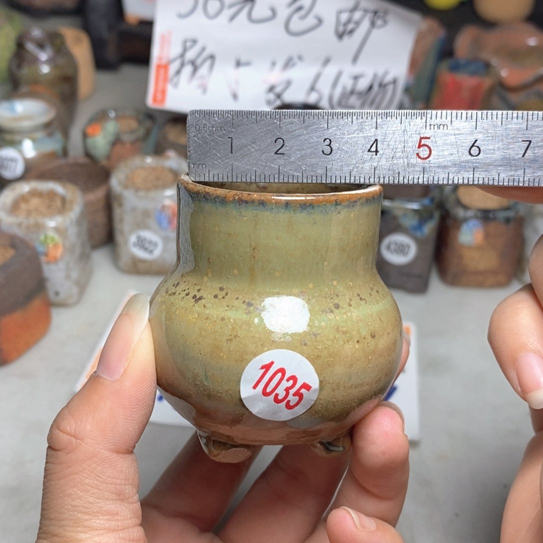 拍5送一个小礼物