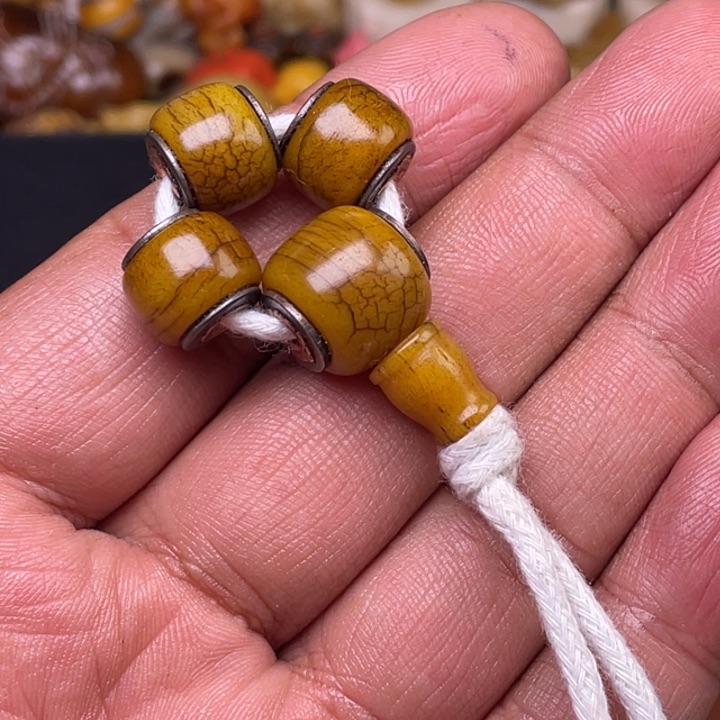 驼骨摆件人工养殖